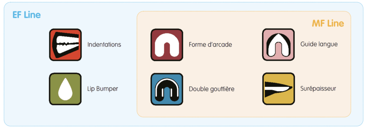 6-cles-education-fonctionnelle