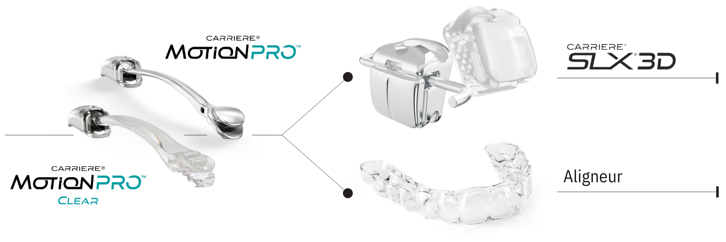 motion-pro-carriere