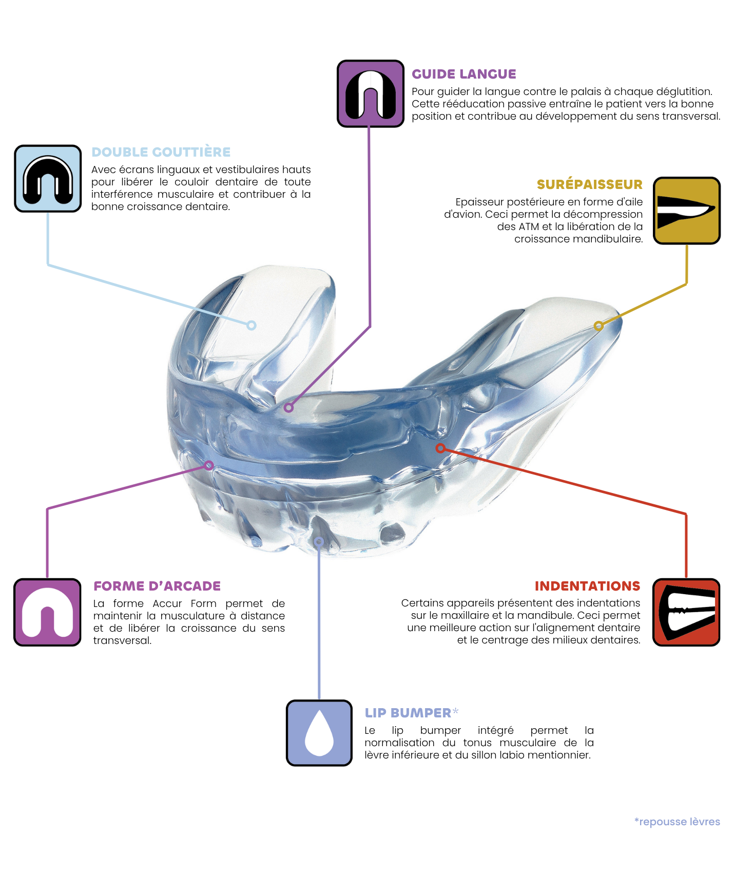 education-fonctionnelle